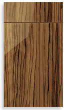 Door for Light Wood Gloss